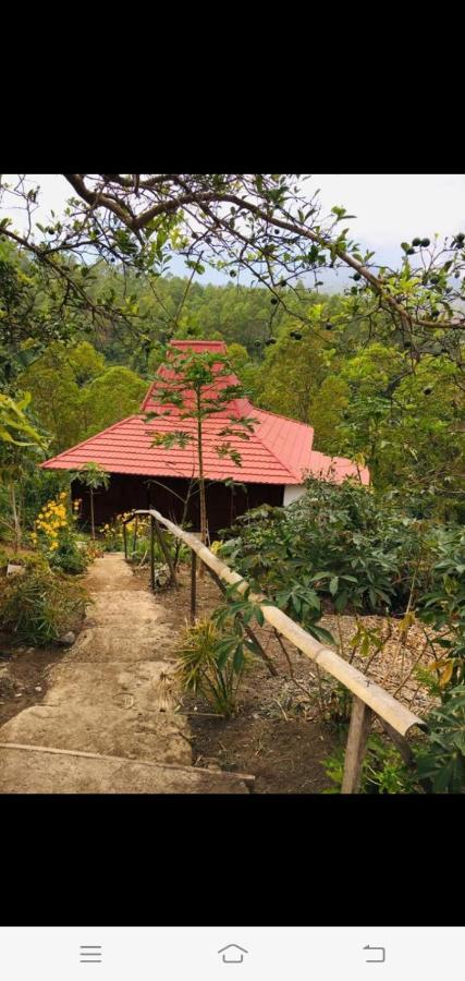 Home Stay Wolokoro Ecotourism Bajawa Extérieur photo