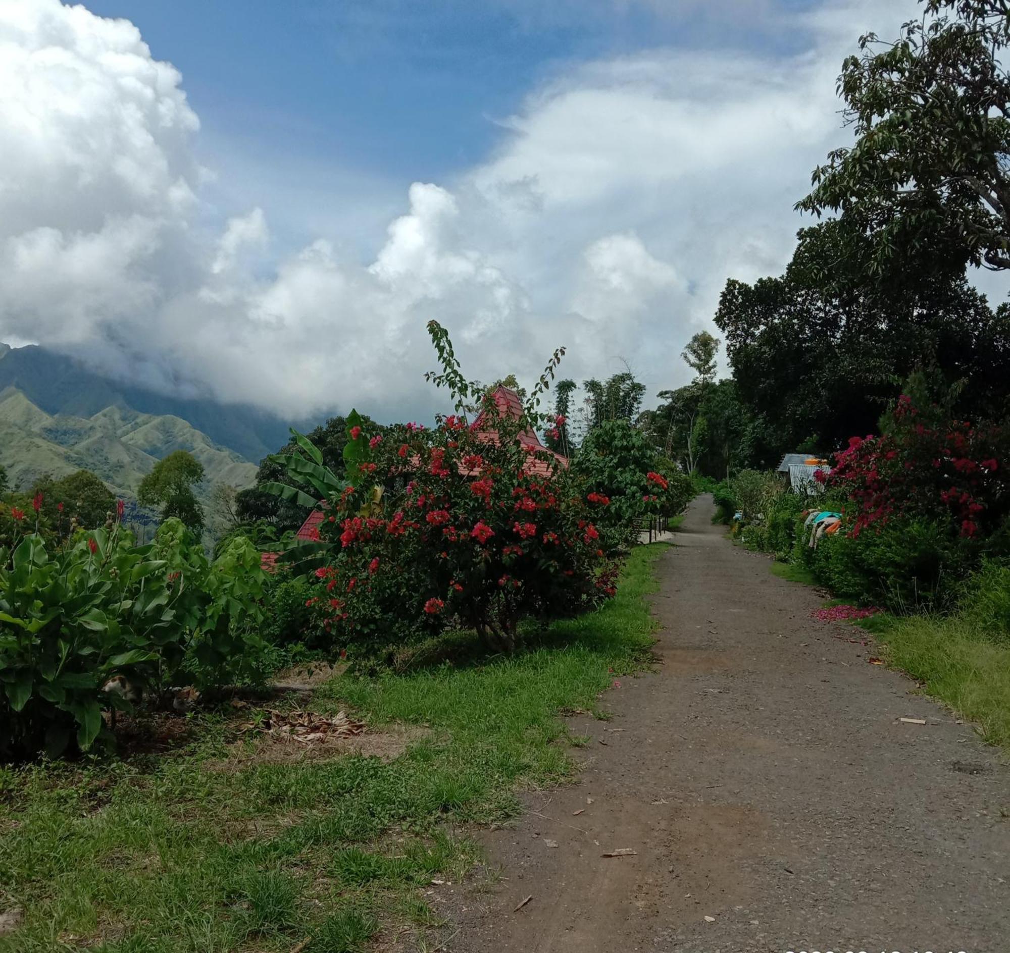 Home Stay Wolokoro Ecotourism Bajawa Chambre photo