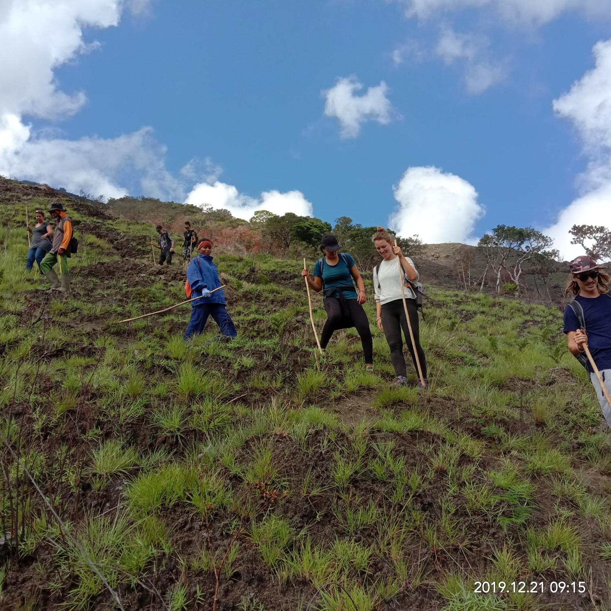 Home Stay Wolokoro Ecotourism Bajawa Chambre photo
